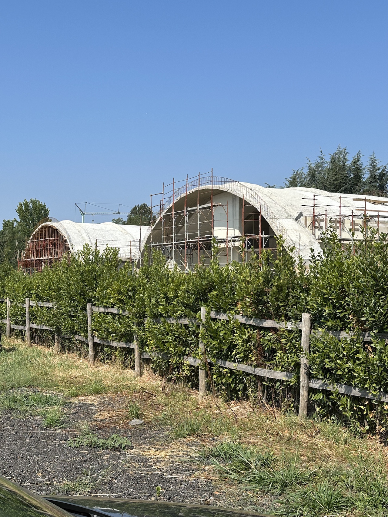 IMG_9614.HEIC_compressed